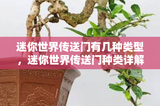 迷你世界传送门有几种类型图片