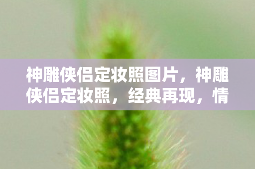 神雕侠侣定妆照图片图片