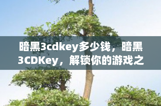暗黑3cdkey多少钱图片