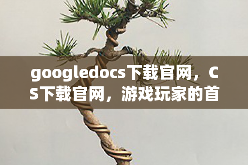 googledocs下载官网，CS下载官网，游戏玩家的首选之地