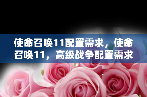 使命召唤11配置需求图片
