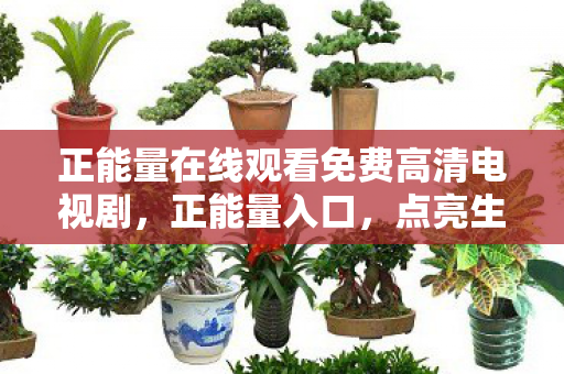 正能量在线观看免费高清电视剧图片