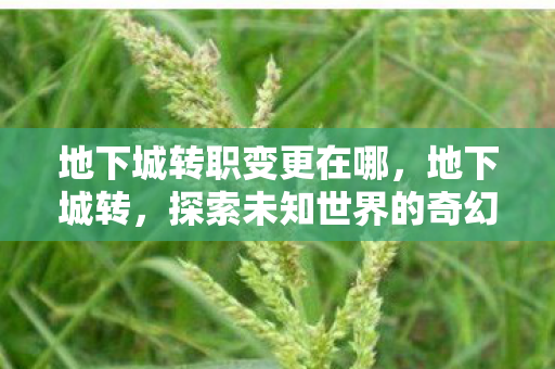 探索未知世界的奇幻之旅图片