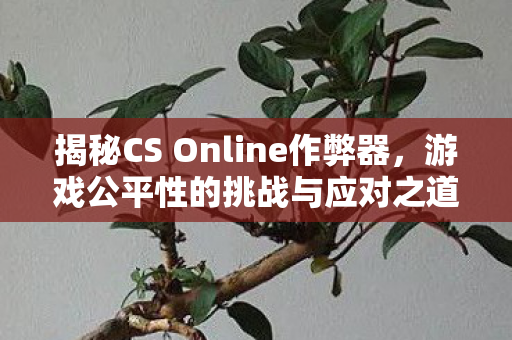 揭秘CS Online作弊器，游戏公平性的挑战与应对之道