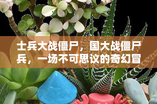 士兵大战僵尸，国大战僵尸兵，一场不可思议的奇幻冒险