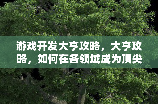 如何在各领域成为顶尖人物图片