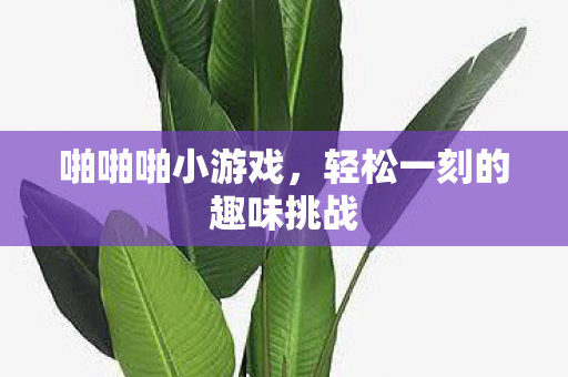 轻松一刻的趣味挑战图片