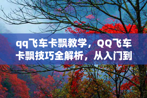 QQ飞车卡飘技巧全解析图片