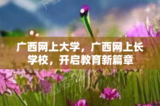 广西网上长学校图片