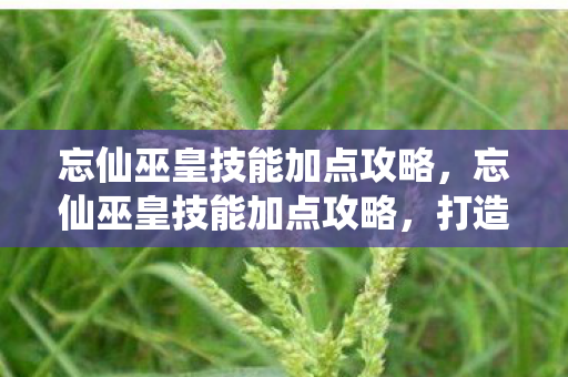 忘仙巫皇技能加点攻略图片