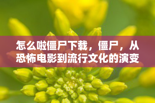 从恐怖电影到流行文化的演变图片