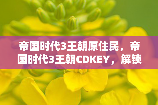 帝国时代3王朝CDKEY图片