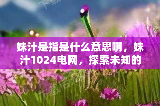 妹汁是指是什么意思啊图片