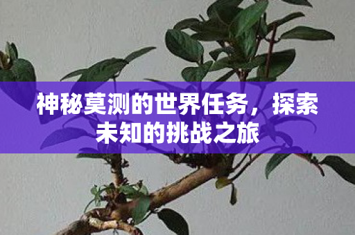 神秘莫测的世界任务，探索未知的挑战之旅