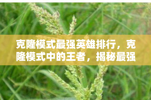 克隆模式最强英雄排行图片