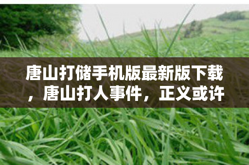 唐山打储手机版最新版下载图片