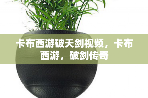 卡布西游破天剑视频图片