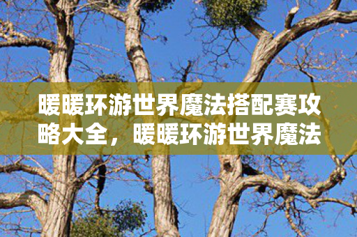 暖暖环游世界魔法搭配赛攻略大全图片