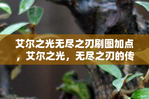 艾尔之光无尽之刃刷图加点图片