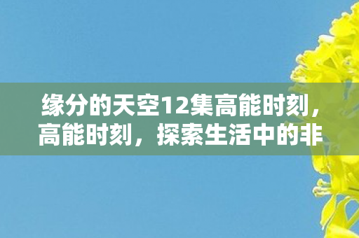 缘分的天空12集高能时刻图片