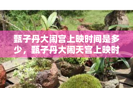 甄子丹大闹宫上映时间是多少图片