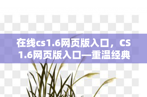 在线cs1.6网页版入口，CS1.6网页版入口—重温经典，游戏在线体验