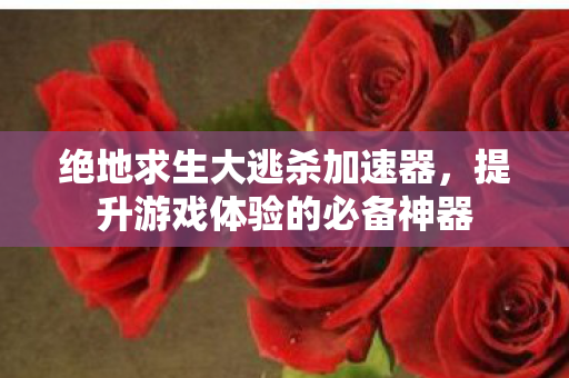 提升游戏体验的必备神器图片