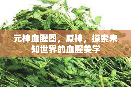 探索未知世界的血腥美学图片