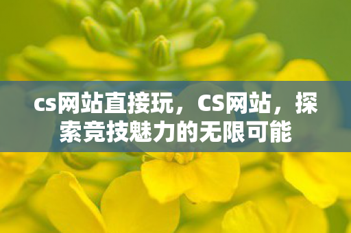 cs网站直接玩，CS网站，探索竞技魅力的无限可能