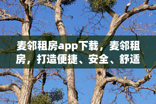 麦邻租房app下载，麦邻租房，打造便捷、安全、舒适的居住体验