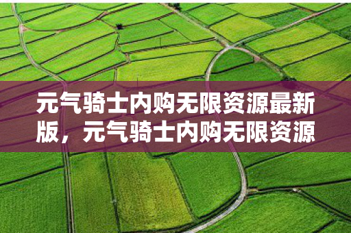 元气骑士内购无限资源最新版，元气骑士内购无限资源，解锁无限可能的秘密