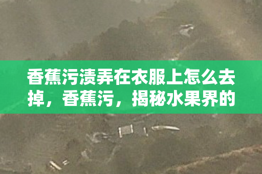 香蕉污渍弄在衣服上怎么去掉图片