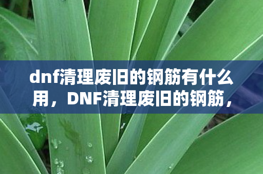 dnf清理废旧的钢筋有什么用图片
