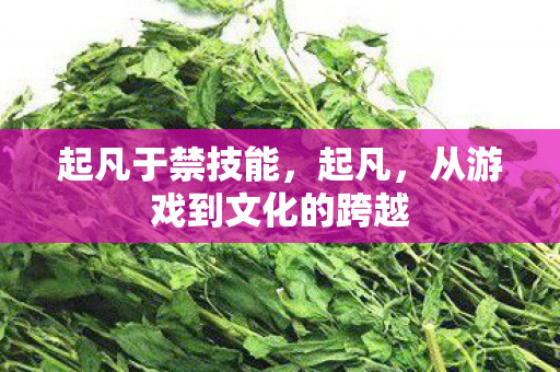 从游戏到文化的跨越图片