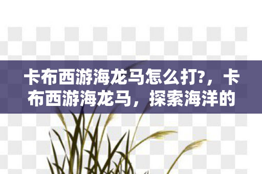 卡布西游海龙马怎么打图片