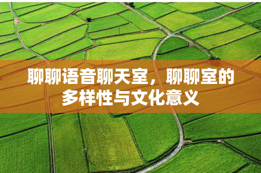 聊聊室的多样性与文化意义图片