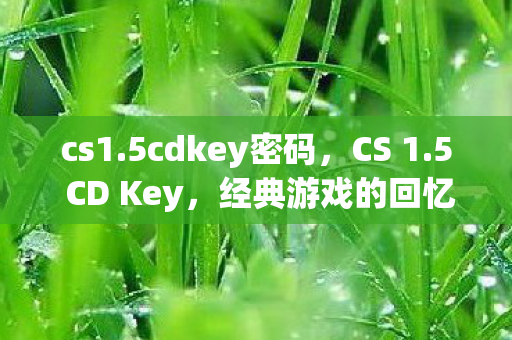 cs1.5cdkey密码，CS 1.5 CD Key，经典游戏的回忆与探索