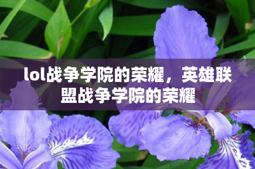 英雄联盟战争学院的荣耀图片