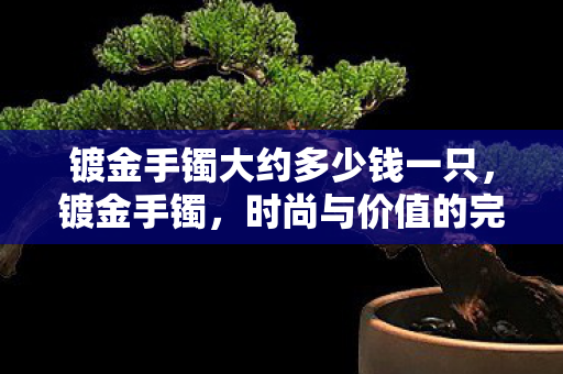 镀金手镯大约多少钱一只图片