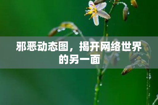 揭开网络世界的另一面图片