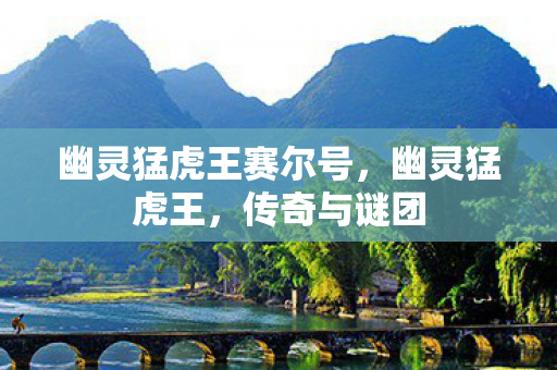 幽灵猛虎王赛尔号图片