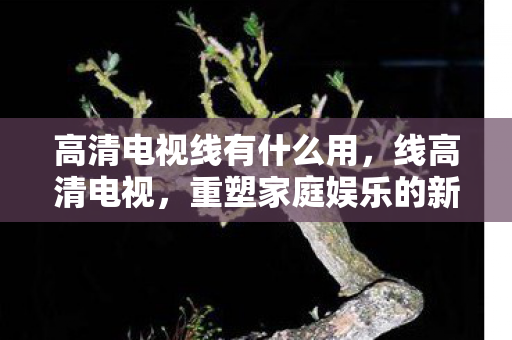 重塑家庭娱乐的新篇章图片