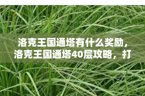 洛克王国通塔有什么奖励图片