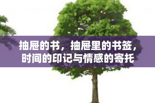 时间的印记与情感的寄托图片