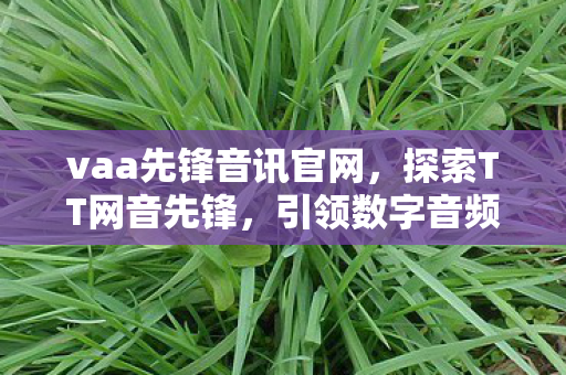vaa先锋音讯官网图片
