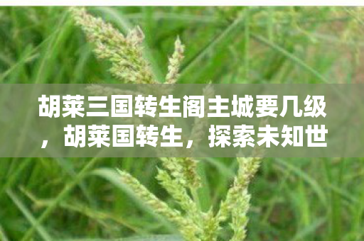 胡莱三国转生阁主城要几级图片