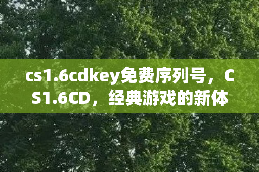 cs1.6cdkey免费序列号，CS1.6CD，经典游戏的新体验