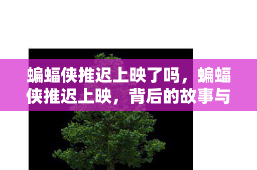 背后的故事与影迷的期待图片