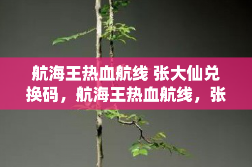 航海王热血航线 张大仙兑换码图片