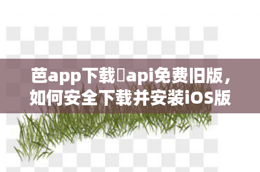 如何安全下载并安装iOS版应用图片